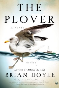 The Plover by Brian Doyle