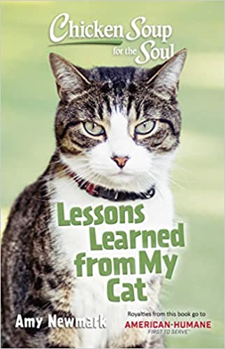 Lessons Learned from my Cat Cover
