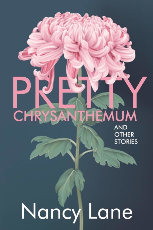 Pretty Chrysanthemum